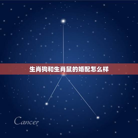 生肖狗和生肖鼠的婚配怎么样,狗与鼠属相婚配好吗 生肖狗和生肖鼠的婚配怎么样,狗与鼠属相婚配好吗