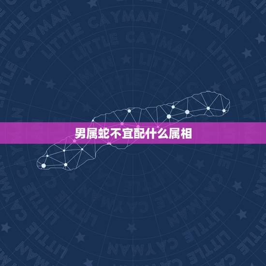 男属蛇不宜配什么属相，蛇配什么生肖更好