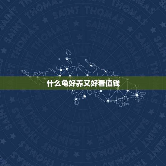 什么龟好养又好看值钱,什么龟又便宜又好看? 而且命很长!又好养? 什么龟好养又好看值钱,什么龟又便宜又好看? 而且命很长!又好养?