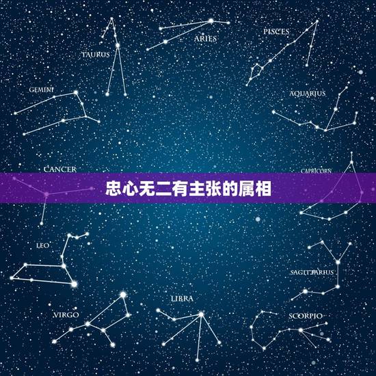 忠心无二有主张的属相，看猴看马辩一人，忠心无二为主忙.三二量变比一九进
