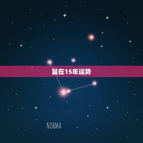 鼠在15年运势，属鼠人阴历9月生人的15年运势如何
