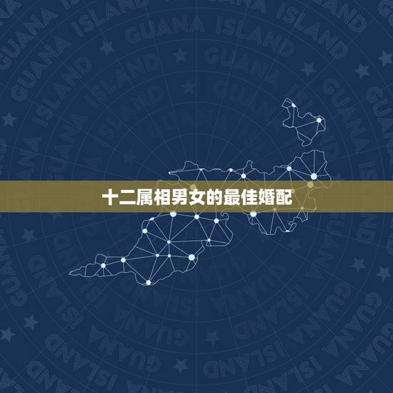 十二属相男女的最佳婚配，最准的12生肖配对表？