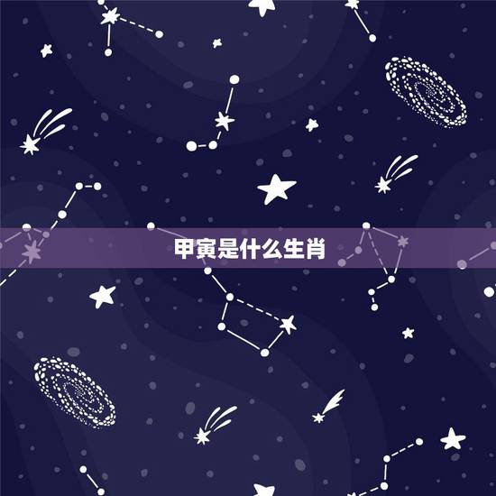 甲寅是什么生肖，癸亥是哪一年