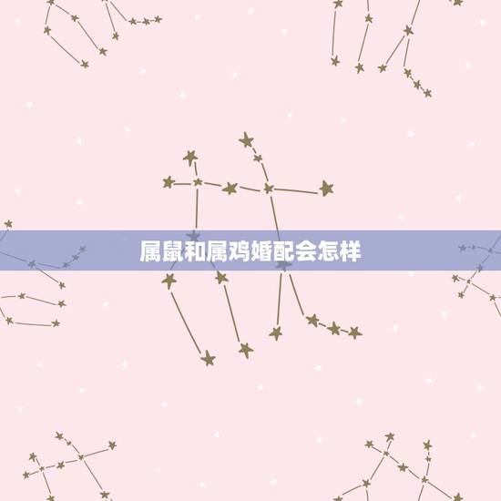 属鼠和属鸡婚配会怎样,属鸡的女性和属鼠的男性相配吗 属鼠和属鸡婚配会怎样,属鸡的女性和属鼠的男性相配吗