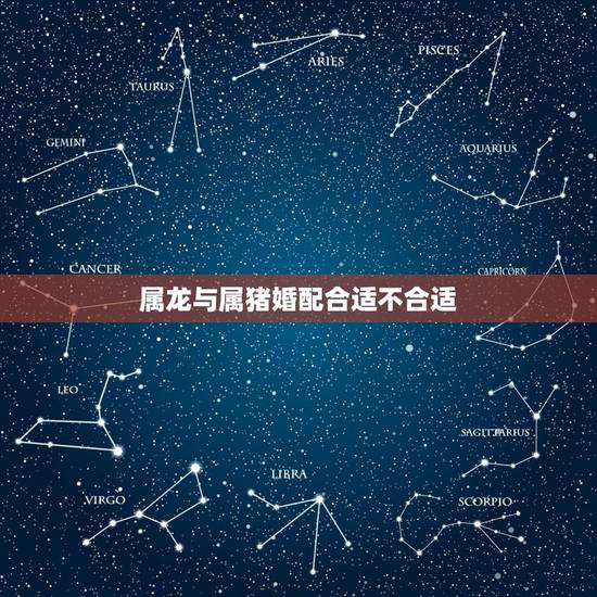 属龙与属猪婚配合适不合适，男属猪83 女属龙88年 能结婚不？相配不？