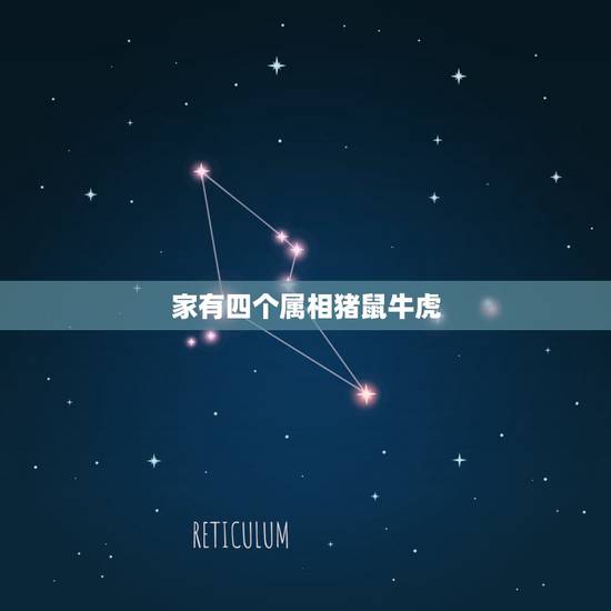 家有四个属相猪鼠牛虎,我和老公都属鼠 孩子属牛好还是属虎好 家有四个属相猪鼠牛虎,我和老公都属鼠 孩子属牛好还是属虎好