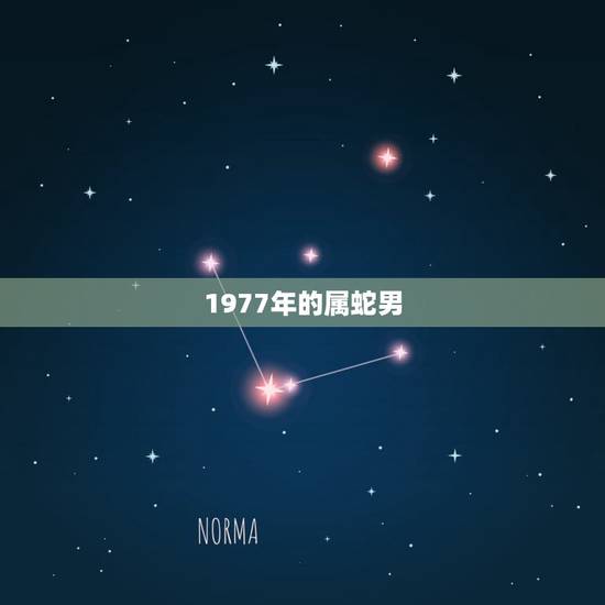 1977年的属蛇男，77年属蛇男人婚姻运势