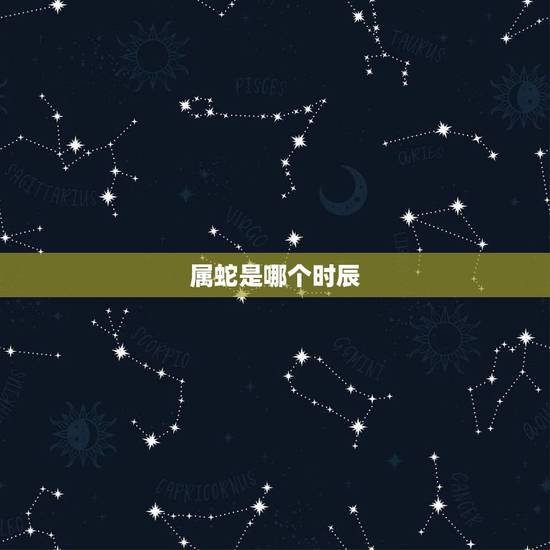 属蛇是哪个时辰,蛇时辰是几点 属蛇是哪个时辰,蛇时辰是几点