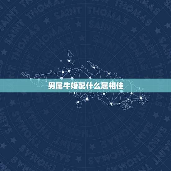 男属牛婚配什么属相佳,男属牛的和什么属相相配最佳 – 百度· 男属牛婚配什么属相佳,男属牛的和什么属相相配最佳 – 百度·