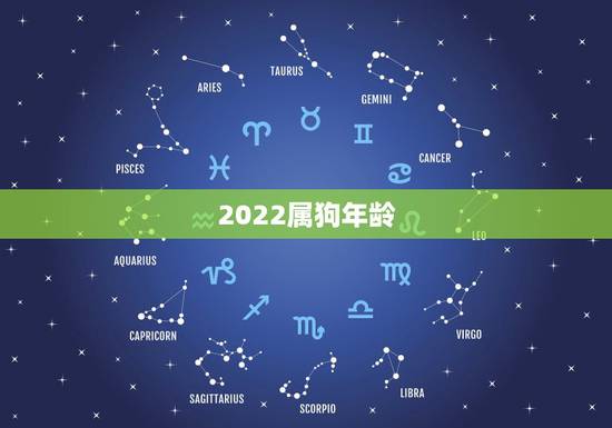 2022属狗年龄,2022 年属狗人的全年运势 2022属狗年龄,2022 年属狗人的全年运势