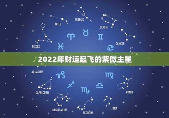2022年财运起飞的紫微主星 2022年紫薇星运势