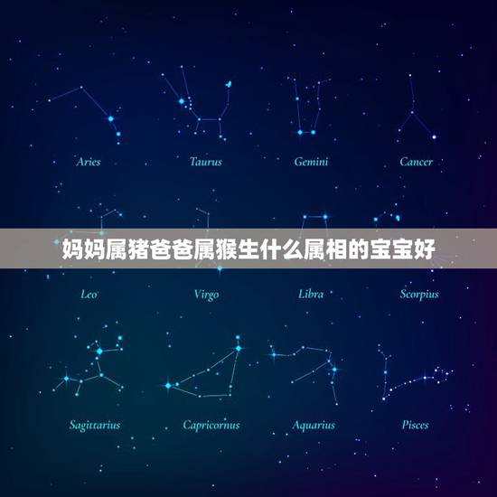 妈妈属猪爸爸属猴生什么属相的宝宝好,属猴的人生虎宝宝好吗? 妈妈属猪爸爸属猴生什么属相的宝宝好,属猴的人生虎宝宝好吗?