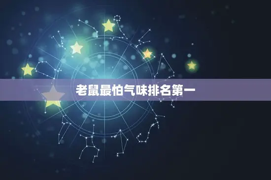 老鼠最怕气味排名第一 老鼠最怕气味排名第一