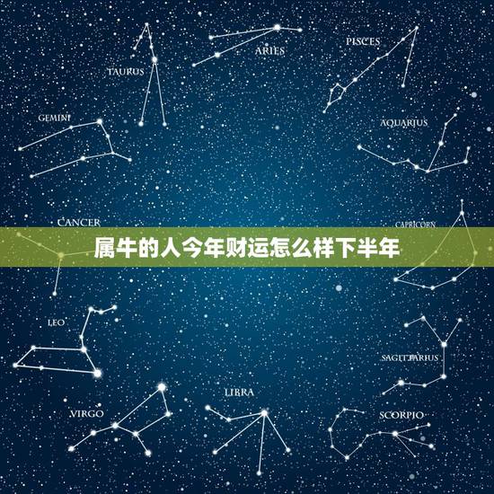 属牛的人今年财运怎么样下半年，属牛的人今年财运怎么样？