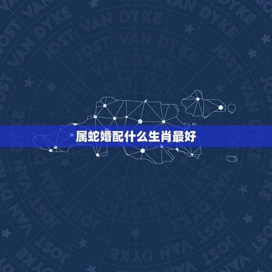 属蛇婚配什么生肖最好,属蛇的和什么属相最相配 12属相婚配表 属蛇婚配什么生肖最好,属蛇的和什么属相最相配 12属相婚配表