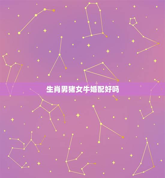 生肖男猪女牛婚配好吗，属猪和属牛相配吗
