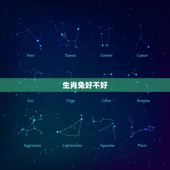 生肖兔好不好,12生肖兔好不好 生肖兔好不好,12生肖兔好不好