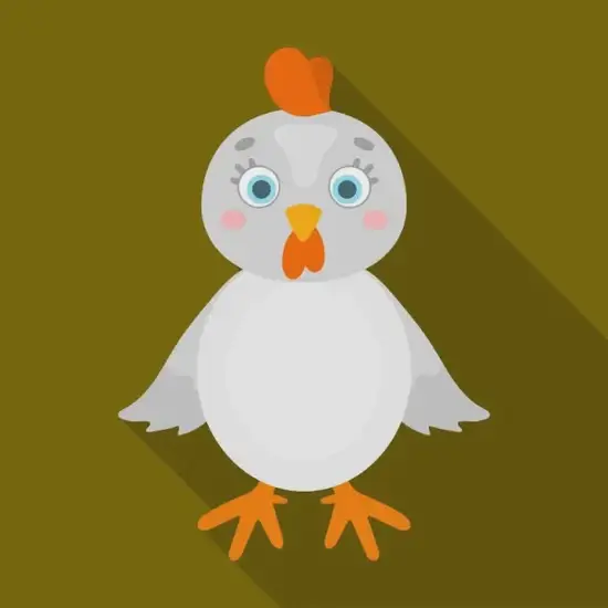 属鸡人财运方位图