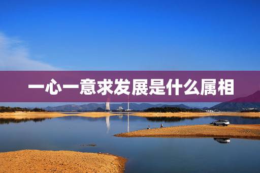 一心一意求发展是什么属相,一心一意 是什么生肖 一心一意求发展是什么属相,一心一意 是什么生肖