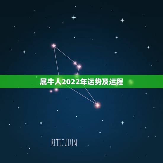 属牛人2022年运势及运程，1985在2022年感情婚姻