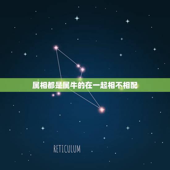 属相都是属牛的在一起相不相配，属牛和属马婚姻相配吗