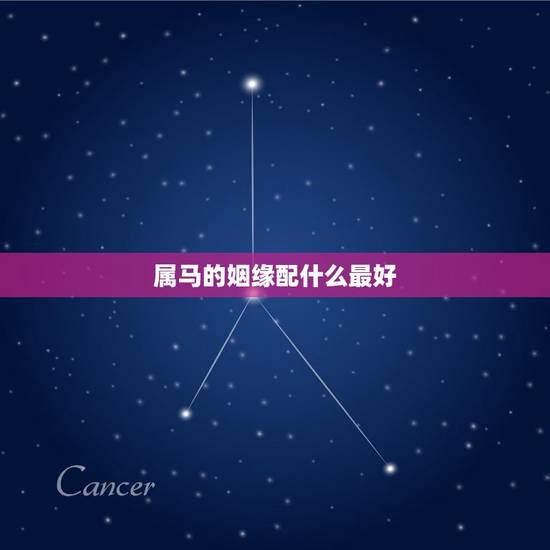 属马的姻缘配什么最好，属马的和什么属相最配