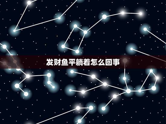 发财鱼平躺着怎么回事,发财鱼平躺在鱼缸底线 发财鱼平躺着怎么回事,发财鱼平躺在鱼缸底线