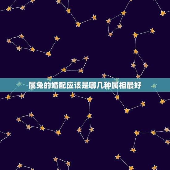 属兔的婚配应该是哪几种属相最好,属兔和什么生肖最好? 属兔的婚配应该是哪几种属相最好,属兔和什么生肖最好?