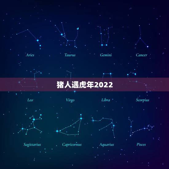 猪人遇虎年2022，2022年属猪的是什么命