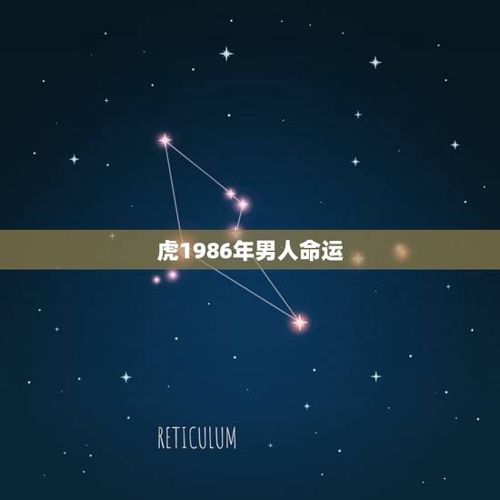 虎1986年男人命运，86年属虎人最穷不过36岁
