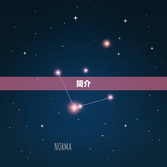 简介 简介