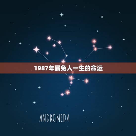 1987年属兔人一生的命运，1987年属兔2022年运势