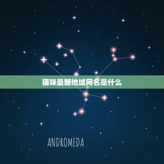 猫咪最新地域网名是什么，关于猫咪的网名