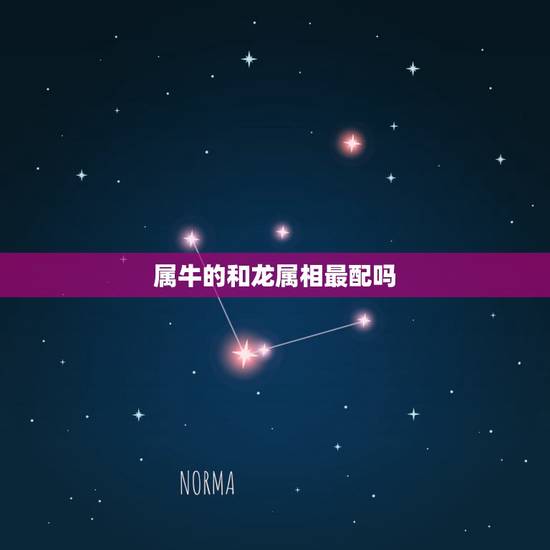 属牛的和龙属相最配吗,天珠佩戴禁忌与属相 属牛的和龙属相最配吗,天珠佩戴禁忌与属相