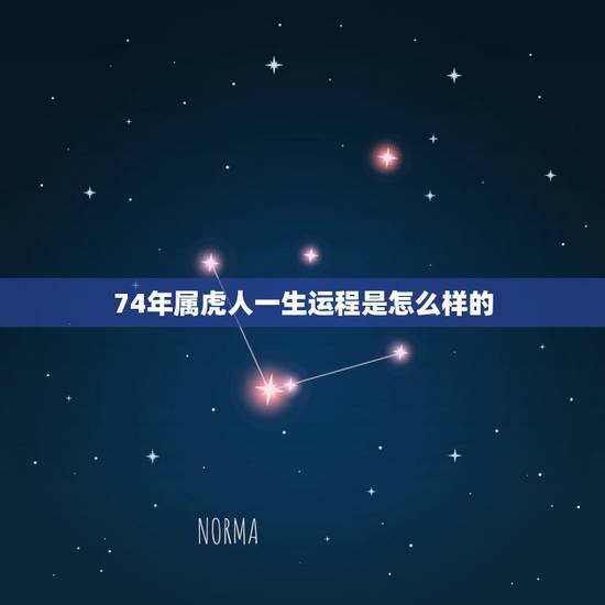 74年属虎人一生运程是怎么样的,74年属虎人今年运程 74年属虎人一生运程是怎么样的,74年属虎人今年运程