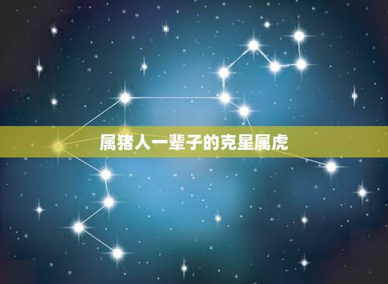 属猪人一辈子的克星属虎,属猪的和属虎的相冲吗?可以在一起吗? 属猪人一辈子的克星属虎,属猪的和属虎的相冲吗?可以在一起吗?
