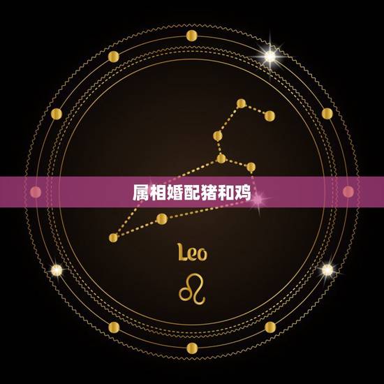 属相婚配猪和鸡，属猪的属相婚配表，属猪的和什么属相最配，属猪的属相婚配