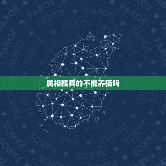 属相猴真的不能养猫吗,属猴的人真的不能养猫吗 属相猴真的不能养猫吗,属猴的人真的不能养猫吗