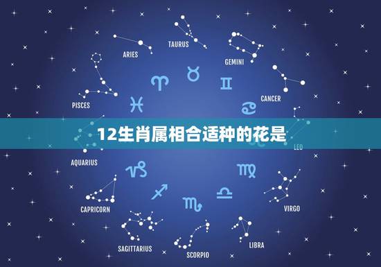 12生肖属相合适种的花是，12生肖属相各是什么花？