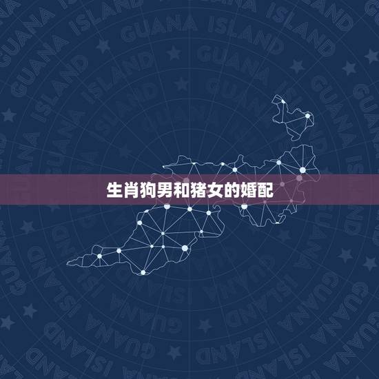 生肖狗男和猪女的婚配,女属狗的和男属猪的婚姻好吗 生肖狗男和猪女的婚配,女属狗的和男属猪的婚姻好吗