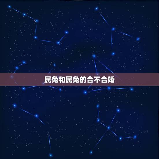 属兔和属兔的合不合婚，属兔的和什么属相最配