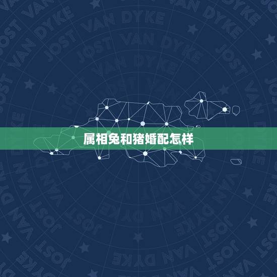 属相兔和猪婚配怎样,猪与兔婚配好吗 属相兔和猪婚配怎样,猪与兔婚配好吗