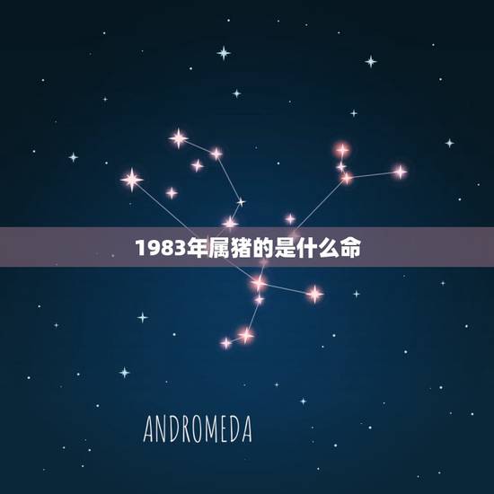 1983年属猪的是什么命，1983属猪的40岁有一难
