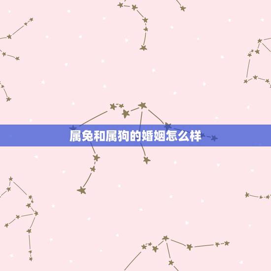 属兔和属狗的婚姻怎么样,属牛和属狗的人合财吗 属兔和属狗的婚姻怎么样,属牛和属狗的人合财吗