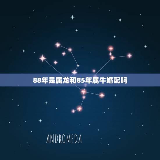 88年是属龙和85年属牛婚配吗,1985年属牛的女的跟1988年属龙的 88年是属龙和85年属牛婚配吗,1985年属牛的女的跟1988年属龙的