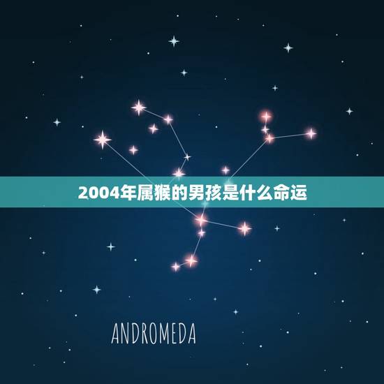 2004年属猴的男孩是什么命运(介绍财富、事业、爱情如何发展) 2004年属猴的男孩是什么命运(介绍财富、事业、爱情如何发展)