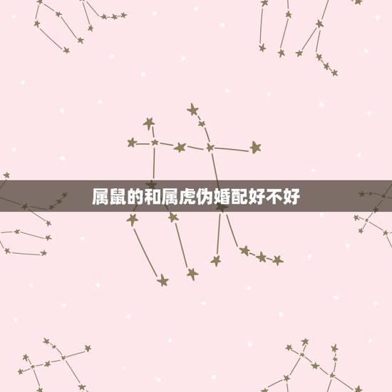 属鼠的和属虎伪婚配好不好，属鼠的生肖和属虎的生肖相配吗？