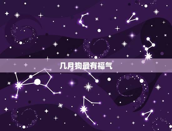 几月狗最有福气,生肖狗最有福分的月份 几月狗最有福气,生肖狗最有福分的月份