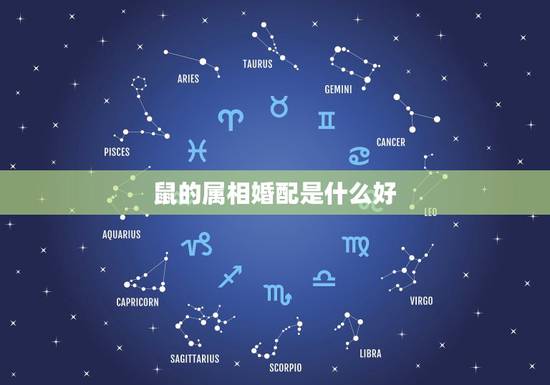 鼠的属相婚配是什么好,生肖鼠跟什么最配,属鼠的属相婚配表 鼠的属相婚配是什么好,生肖鼠跟什么最配,属鼠的属相婚配表
