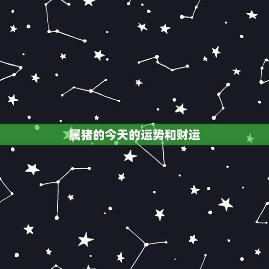 属猪的今天的运势和财运，属猪人的财运